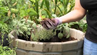 How to Make Raised Beds for Growing Herbs  Garden Space [upl. by Chev]