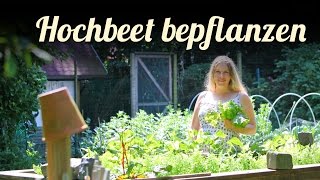 Hochbeete bepflanzen 🎍 Agretti im Garten 🎍 Salat anbauen 🎍 Permakultur [upl. by Sllew36]