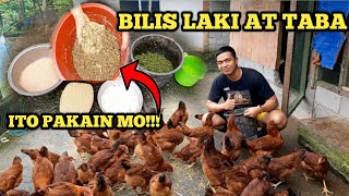 BILIS LUMAKI MATATABA AT TIPID PA  ITO PAKAIN MO  RHODE ISLAND RED CROSS HUBBARD [upl. by Emoraj]