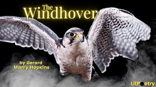 The Windhover by Gerard Manley Hopkins Poetry Analysis Video [upl. by Nel]