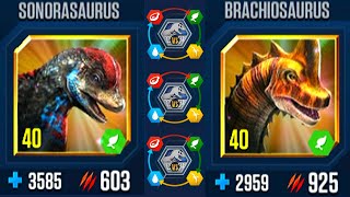 SONORASAURUS VS BRACHIOSAURUS ALL EVOLUTIONS ALL X3 LV 40  JURASSIC WORLD THE GAME [upl. by Endaira762]