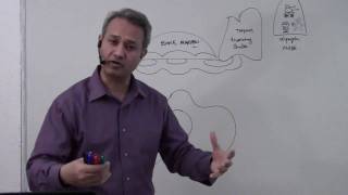 Immunology Macrophage Lecture 5 Part 110 [upl. by Holle]