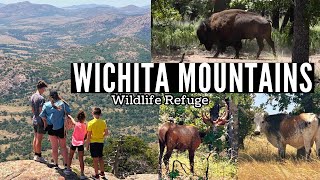 WICHITA MOUNTAINS WILDLIFE REFUGE  Oklahoma travel [upl. by Lebisor562]