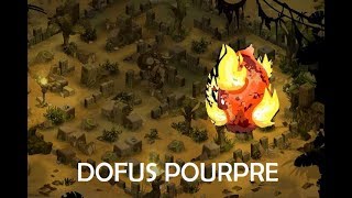 Dofus Minogolem combat final du dofus pourpre tuto [upl. by Ahsiakal]