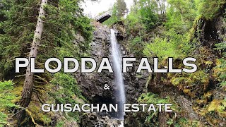 Plodda Falls  One of the best waterfalls in Scotland amp Guisachan Estate  Home of Golden Retriever [upl. by Olnay354]