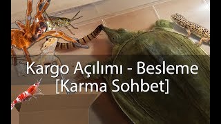 Paket Açılımı  Besleme VLOG  Agresif Kaplumbağa  Karidesler  Akrep vs [upl. by Arno]