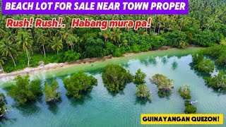 V 184 Subdivided Beach lot For Sale Near town proper 3222 Sqm 30 meters Beach frontage [upl. by Naltiac491]