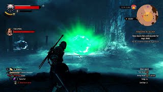 You can close Wild Hunt portals with dimeritium bomb amp Yrden Wandering in the Dark l The Witcher 3 [upl. by Leissam375]