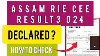 RIE CEE Result 2024  How To Check RIE CEE Result 2024 [upl. by Tadio]