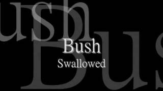 Bush  Swallowed lyric HQ [upl. by Hermia]