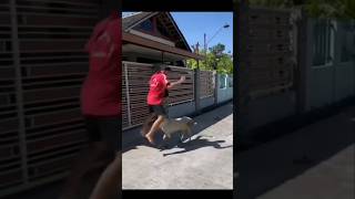 The end 😂😂😂 funny fails shorts viral [upl. by Andri859]