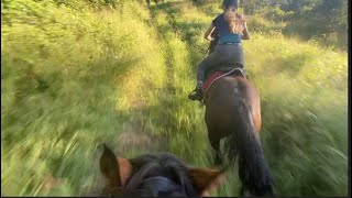 Fell off and hit a tree Horse riding Traumatic Vlog [upl. by Germano274]