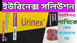 Urinex solution for animals ইউরিনেক্স সলিউশন গবাদিপশু পাখিকে কেন খাওয়াতে হয় 🐄🐐🐏🐂🦢🐔🦃🐓🐦🐤 [upl. by Linnell542]