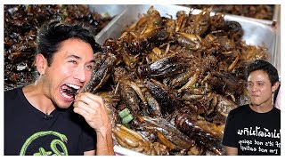 Eating The Best Reviewed BUGS In Bangkok EXOTIC Street Food With Mark Wiens [upl. by Eey]