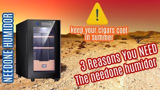 3 Reasons You NEED THIS Humidor [upl. by Nylzor574]