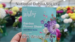 RHS Wisley Flower Show  National Dahlia Society Displays 2021 [upl. by Eiramaneet]