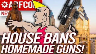 Homemade Firearms Ban Passes PA House [upl. by Quickel263]