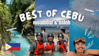 JELAJAHI SURGANYA CEBU DI MOALBOAL DAN OSLOB  CANYONEERING amp WHALE SHARK‼️  Philippines Vlog 2 [upl. by Jeff]