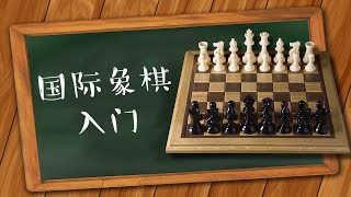 国际象棋入门第1集  如何走棋【VIPChess西洋棋】 [upl. by Htrap]