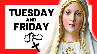 THE SORROWFUL MYSTERIES TODAY HOLY ROSARY TUESDAY amp FRIDAY  THE HOLY ROSARY TUESDAY amp FRIDAY [upl. by Alethia]