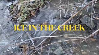 Lynx Creek Arizona gold panning [upl. by Parthena281]