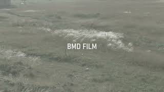 Bmpcc og  BMD film to cineon log and kodak2383  davinci resolve studio color grading tutorial [upl. by Idna164]