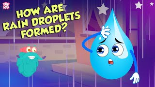 How Are Rain Droplets Formed  WATER CYCLE  The Dr Binocs Show  Peekaboo Kidz [upl. by Dragon]