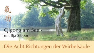 Qigong  Acht Richtungen der Wirbelsäule [upl. by Neirual]