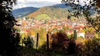 Freiburg Lorettoberg Blick auf Schlossberg Herbst 2016 [upl. by Anaitsirc816]