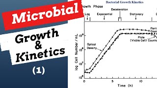 Microbial Growth amp Kinetics1 Explained Bioprocess amp Biochemical Engineering [upl. by Joanie]