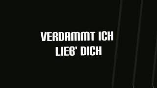 MIKE SINGER  VERDAMMT ICH LIEB DICH LYRICS VIDEO [upl. by Tallulah]