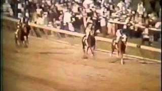 quotSECRETARIATquot Greatest Race Horse of All Time  Kentucky Derby Preakness Belmont Stakes 1973 Video [upl. by Dina829]