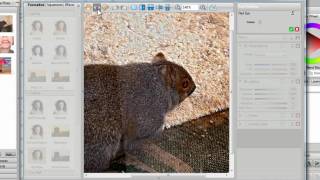 PhotoLab Basics in Digital Scrapbook Artist 2 [upl. by Oranneg922]