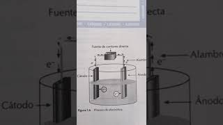 oxidación y reducción Electrólisis [upl. by Gianni]