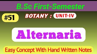 Alternaria  Deuteromycotina  General Characteristics Life Cycle alternaria deuteromycotina [upl. by Maxie]