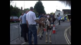 Wickham Horse Fair 2013 [upl. by Aleacem]