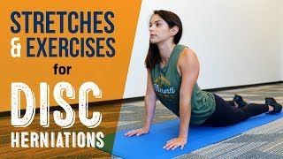 Exercises amp Stretches for Disc Herniations [upl. by Brose]