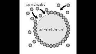 Adsorption of gas at solid surface Dr ASM [upl. by Yetak]