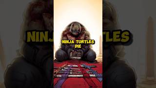 How did the Ninja Turtles Die anime ninjaturtles [upl. by Nitnerb]