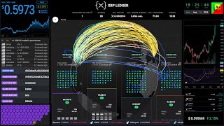 XRP price and XRPL live data  livestream  chat  history  20240819 xrp xrpl ripple [upl. by Irra]