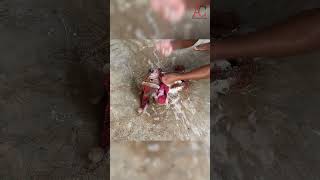 doll abandoned cleaning foryou youtubevideo satisfying asmr shortsviral youtubeshorts [upl. by Noirad]