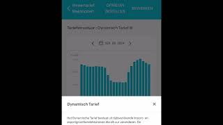 Enphase Zonnepanelen uitschakelen bij negatieve stroomprijs [upl. by Manara]