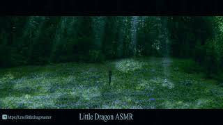 АСМР Чтение книги Новолуние часть 1 ASMR reading The Twilight Saga New Moon  Little Dragon ASMR [upl. by Esirrehc]