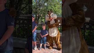 Meeting Chip N Dale The Rescue Rangers in the Magic Kingdom at Disney World disneyworld [upl. by Cirdnek645]