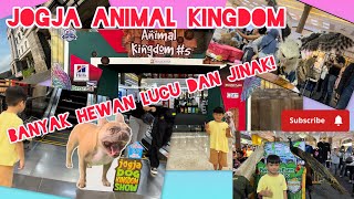 JOGJA ANIMAL KINGDOM ‼️ BANYAK HEWAN LUCU DAN LANGKA ‼️ [upl. by Alyce619]