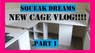 Squeak Dreams NEW CAGE VLOG Part 1 First Stages [upl. by Bow]