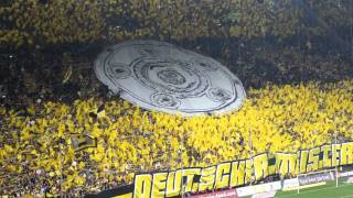 BVB Dortmund Gänsehaut im Westfalenstadion [upl. by Isaiah674]