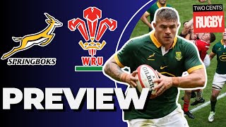 Springboks v Wales Preview  June Test 2024 [upl. by Kerrin558]