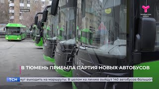 В Тюмень прибыла партия новых автобусов [upl. by Rimhsak]