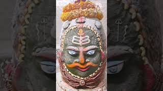 🙏 Matrahin Patrahin🙏  Vipin Bihari Mahadev shorts mahakal Mahamrityunjay [upl. by Bajaj]